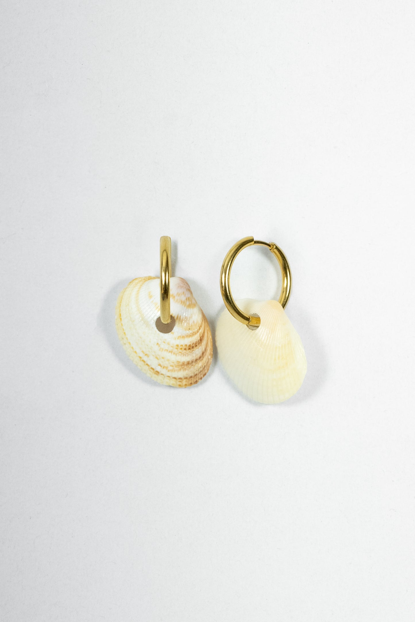 EARRING WHITE SHELLS