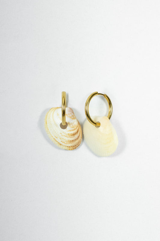 EARRING WHITE SHELLS